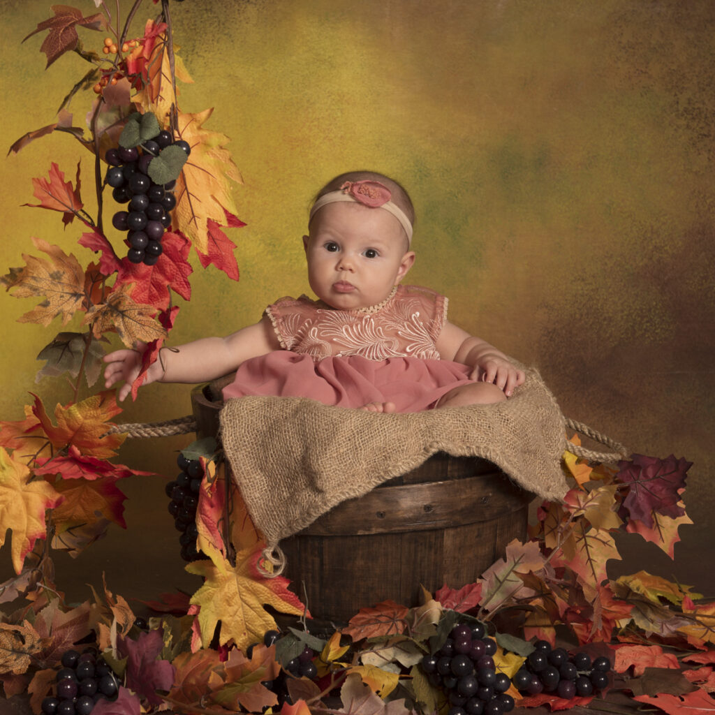 bambina seduta dentro ad un tino con vestito color rosa antico in mezzo a foliage autunnale su dipinto fine art scena autunnale